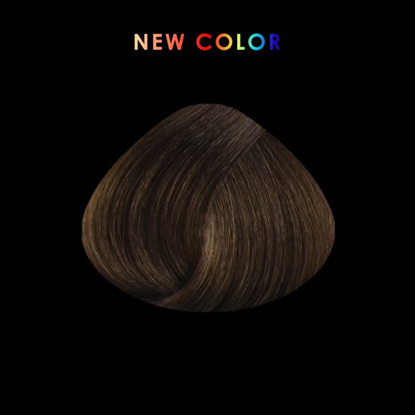 Chocolate ashen light blonde      8/91